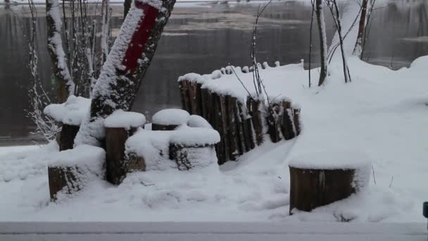 Blizzard All Covered Deep Snow Cold Winter Snowstorm River Bank — Stock Video