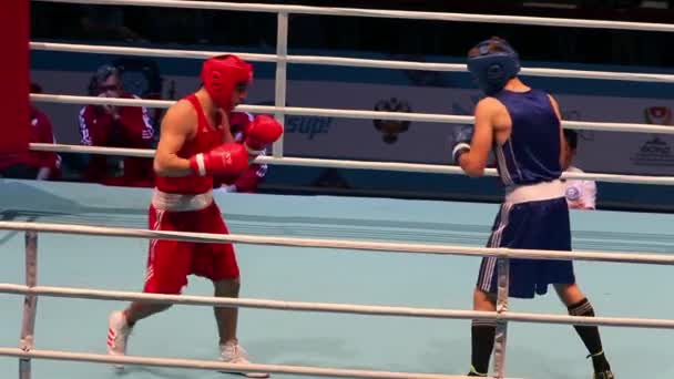 Petersburg Russland November 2016 Aiba Jugendweltmeisterschaft Boxen Männer Schwer Boxkampf — Stockvideo