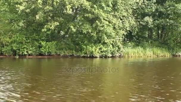 Живописный Вид Реку Лодки — стоковое видео