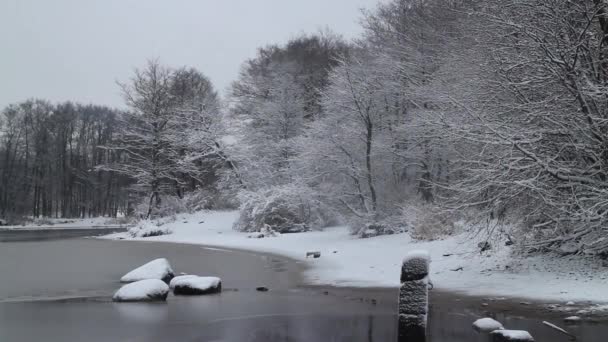 Bäume Unter Schnee Flussufer Weiße Winterlandschaft — Stockvideo