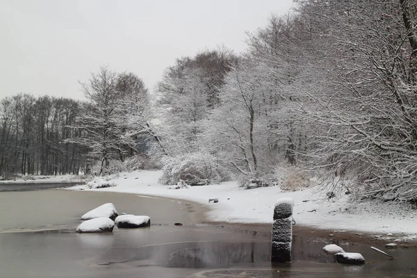 Alberi sotto la neve sulla riva del fiume — Foto Stock