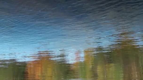 Herfst Abstracte Achtergrond Van Heldere Reflectie — Stockvideo