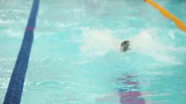 認識できない選手泳ぐ背泳ぎフロント ビュー — ストック動画