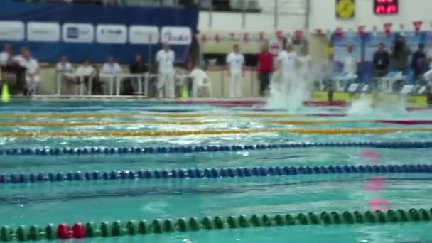 Saint Pétersbourg Russie Décembre 2017 Compétition Internationale Natation Vladimir Salnikov — Video