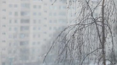  Kar yağışı kentin kış manzarası