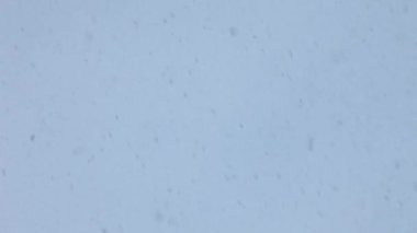 Beyaz sis, kış fırtına gerçek kar düşüyor.