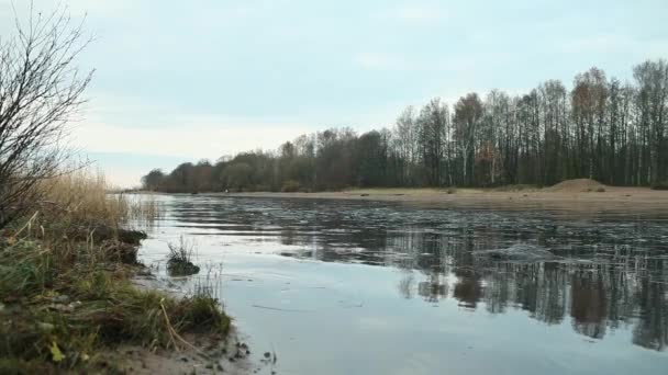 川は冬の初めまで覆われているシン アイス — ストック動画