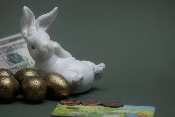 Rich Rabbit Money Still Life — Stock Photo, Image