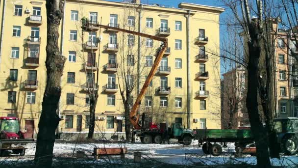 Jardinier Coupe Une Tronçonneuse Branche Arbre Laps Temps — Video