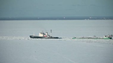 Buzkıran buz kitlesi deniz manzarası ile gider