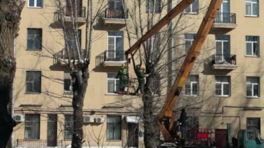 Asansör tanınmaz bahçıvanlar ağaçları kesmek