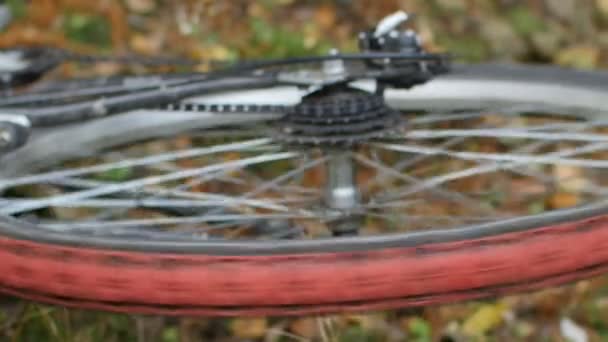Fahrrad Nach Zusammenbruch Boden Rad Dreht Sich Aus Nächster Nähe — Stockvideo