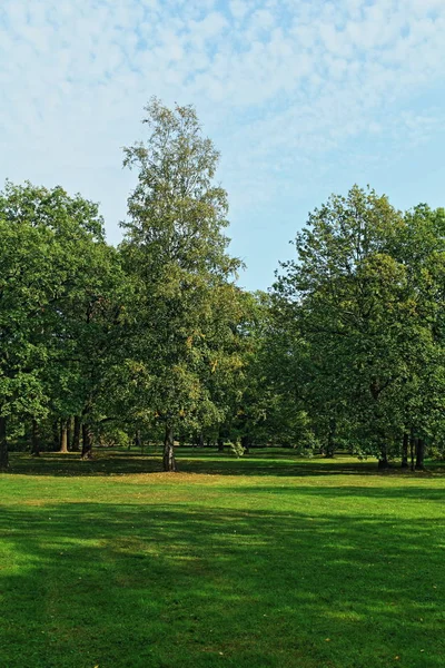 Paisagem Com Árvores Gramado Verde Primeiro Plano — Fotografia de Stock