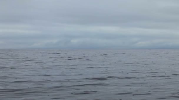 Nuvens Baixas Sobre Mar Branco — Vídeo de Stock