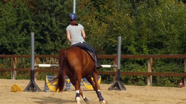 光沢のある馬蹄 ジョッキーと彼の馬はバリアを飛び越える スローモーション — ストック動画