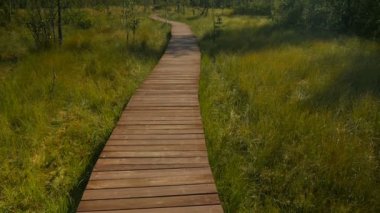 Bataklıkta ekolojik yol, güzel manzara, aşağıdan yukarıya manzara