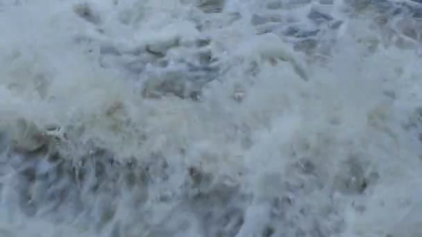 Overstroming Zware Regenval Woedende Beek Lus — Stockvideo