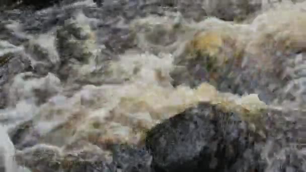 Mountain Stream Close Stone Boulders Loop — Stock Video