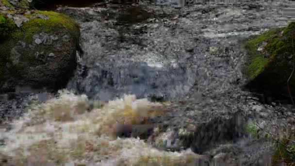 Forest Stream Green Mossy Boulders Close — Stock Video