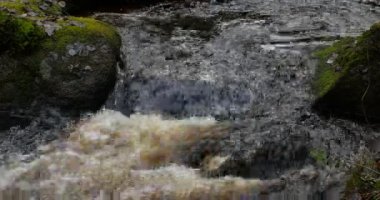 Yeşil yosunlu kayalar arasında akarsu