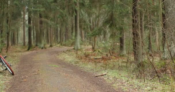 Viagem Estrada Florestal Bicicleta Primeiro Plano Conceito Turismo — Vídeo de Stock