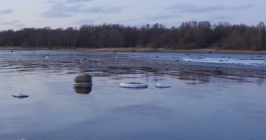 Göl, su beyaz buza dönüşür, kış manzarası 