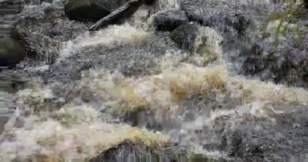 滑らかな岩々の間を高速で流れる岩の川が接近しカメラが動き — ストック動画