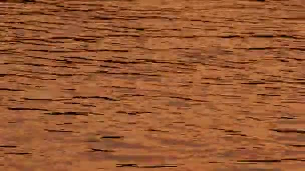 Blendung Auf Goldenem Wasser Von Der Untergehenden Sonne Hintergrund — Stockvideo