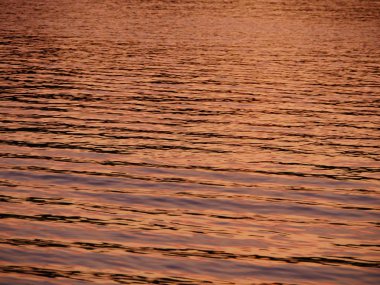 Batan güneşten, arka plandan gelen altın suyun üzerinde parla