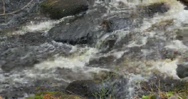 Corrente Montanha Água Corre Rapidamente Através Das Corredeiras Loop — Vídeo de Stock