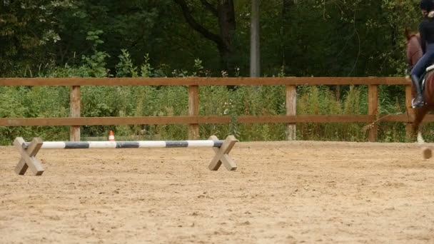 Galloping Horse Show Jumping Slow Motion — Stock Video