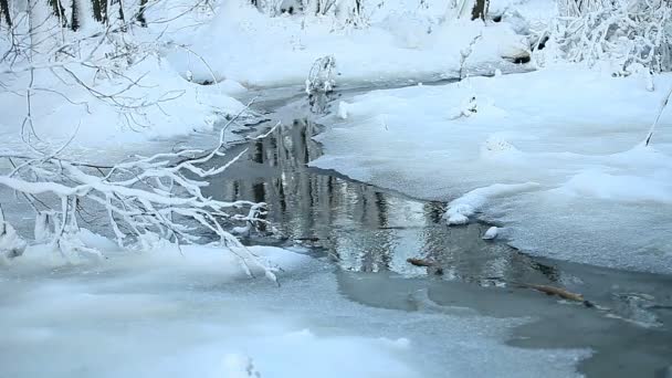 Beau Paysage Hivernal Avec Ruisseau Enneigé — Video