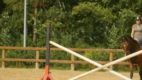 Petersburg Russia August 2019 Woman Jockey Jumps Barriers Horse Show — Stock Video