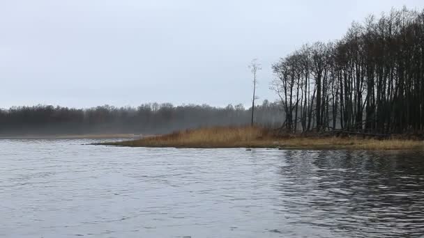 brouillard froid d'automne sur la rivière, paysage 