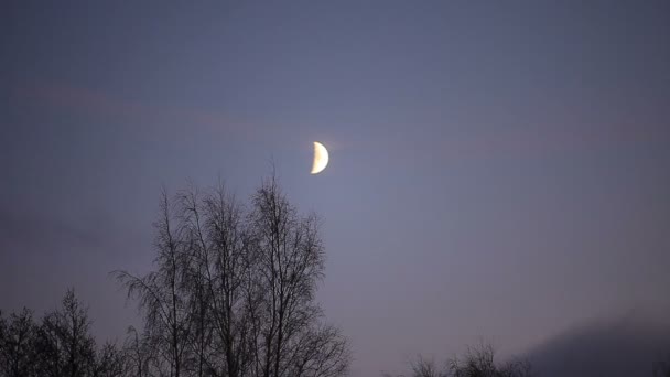 Mese Crescente Nel Cielo Notturno Lasso Tempo — Video Stock