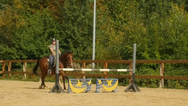 Petersburg Rusland Augustus 2019 Vrouwelijke Jockey Springt Barrières Een Paard — Stockvideo