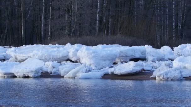 Lente Smeltend Ijs Blokken Bevroren Sneeuw Rivier Panorama — Stockvideo