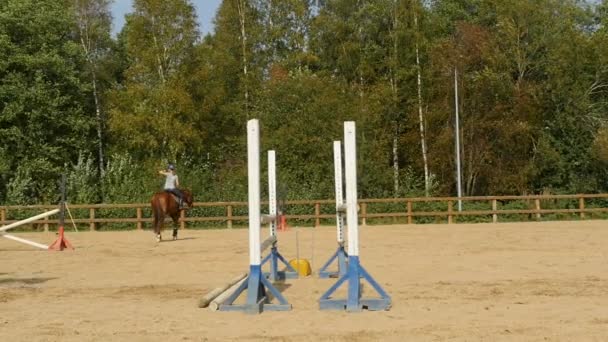 Petersburg Russia August 2019 Woman Jockey Jumps Barriers Horse Slow — Stock Video