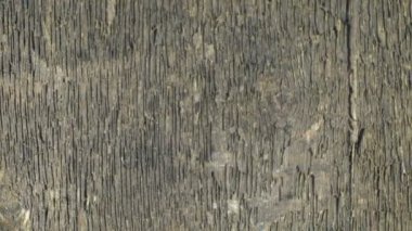 kaba ahşap doku, yakın çekim, kamera hareket halinde