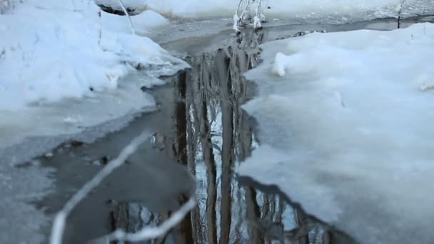 Winter Stroom Baant Zich Een Weg Door Sneeuw — Stockvideo