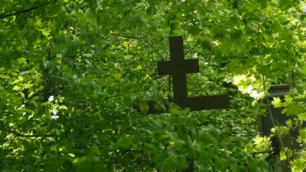 Negro Cruz Viejo Cementerio Exuberante Follaje Verde Concepto Extensión Vida — Vídeos de Stock