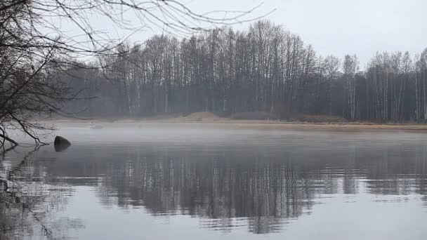 Σκάφος Στην Ομίχλη Στο Ποτάμι Φθινόπωρο — Αρχείο Βίντεο