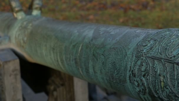 Cannone Medievale Con Patina Verde Sul Tronco Macchina Fotografica Movimento — Video Stock
