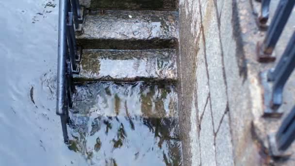 ヴェネツィアの洪水 水は古代の階段の手順を浸水 — ストック動画