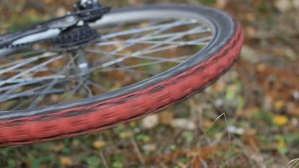 Колеса Вращения Опрокинутого Велосипеда Рядом — стоковое видео