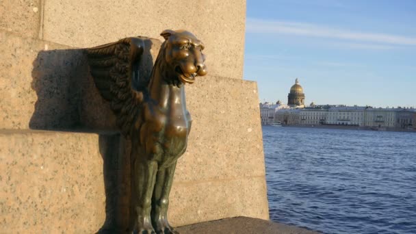 Okřídlená Socha Lva Promenádě Petrohradě — Stock video