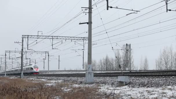 2020年1月28日ロシアのサンクトペテルブルク ロシア鉄道の高速旅客列車 ペレグリン が運行中 — ストック動画