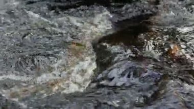 Hızla akan bir derede girdap