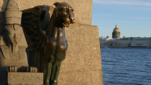 Ídolos Grifo Esfinge Custodiando San Petersburgo — Vídeos de Stock