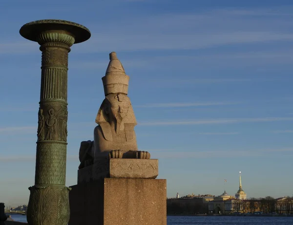 Esfinge egipcia en San Petersburgo — Foto de Stock